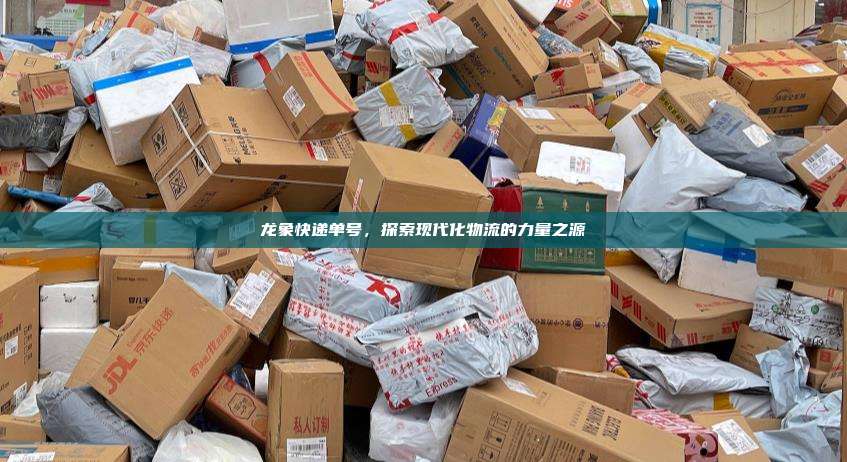 龙象快递单号,探索现代化物流的力量之源