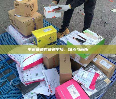 中通快递的快递单号,探索与解析