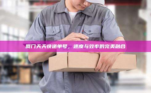 厦门天天快递单号,速度与效率的完美融合