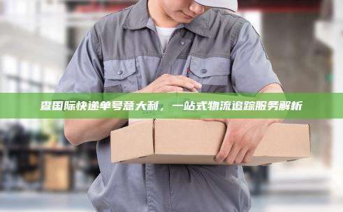 查国际快递单号意大利，一站式物流追踪服务解析