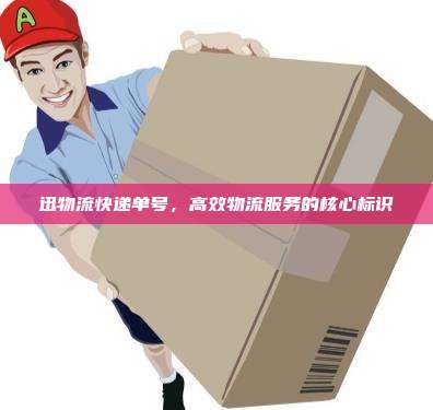 迅物流快递单号,高效物流服务的核心标识